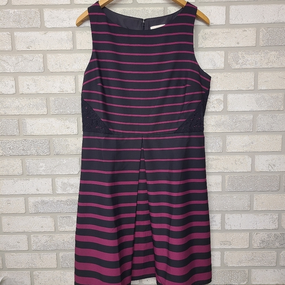 Ann Taylor Loft Pink Black Striped Dress Size 10